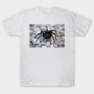 Tarantula T-Shirt